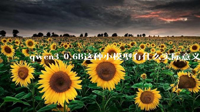 qwen3-0.6B这种小模型有什么实际意义和用途吗？