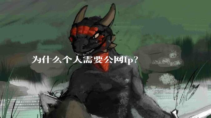 为什么个人需要公网ip？