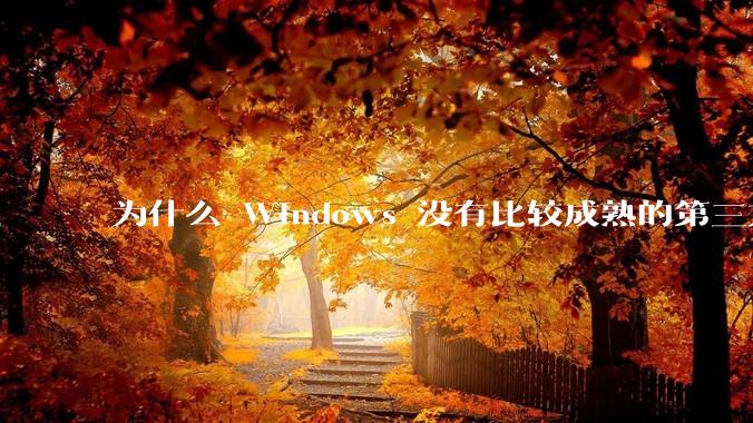 为什么 Windows 没有比较成熟的第三方桌面环境（explorer.exe）？