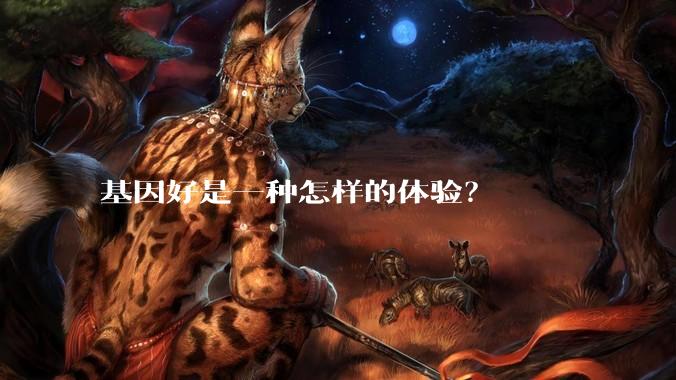 基因好是一种怎样的体验？