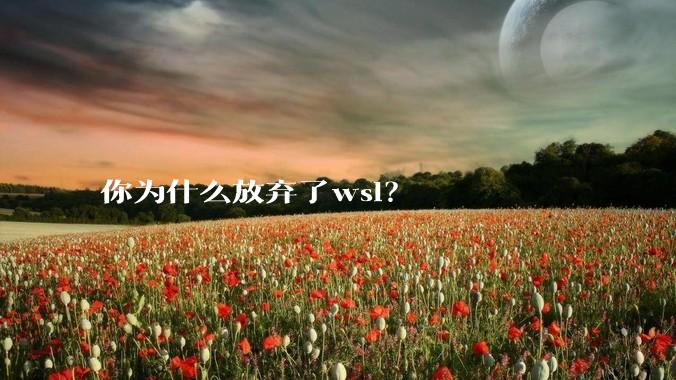 你为什么放弃了wsl？