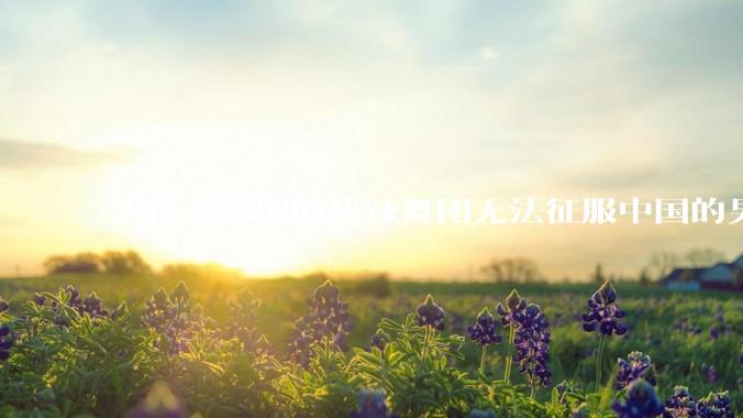 为什么韩国的热辣舞团无法征服中国的男性市场？？