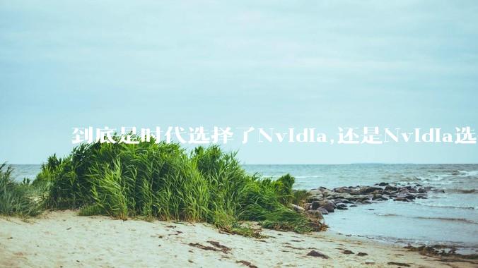 到底是时代选择了Nvidia,还是Nvidia选择了时代？