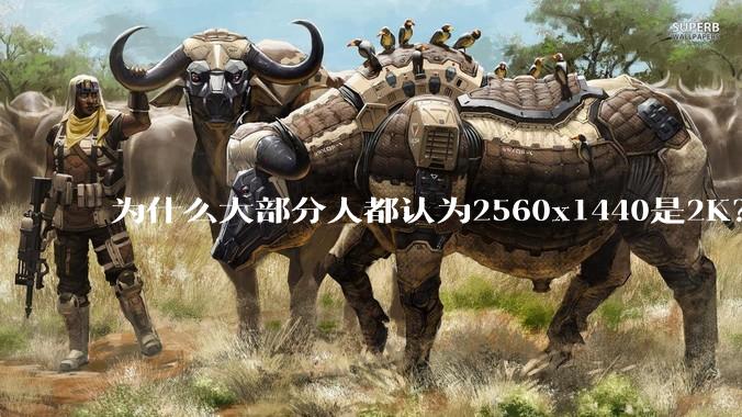 为什么大部分人都认为2560x1440是2K？
