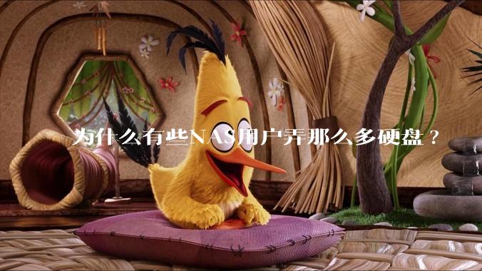 为什么有些NAS用户弄那么多硬盘?
