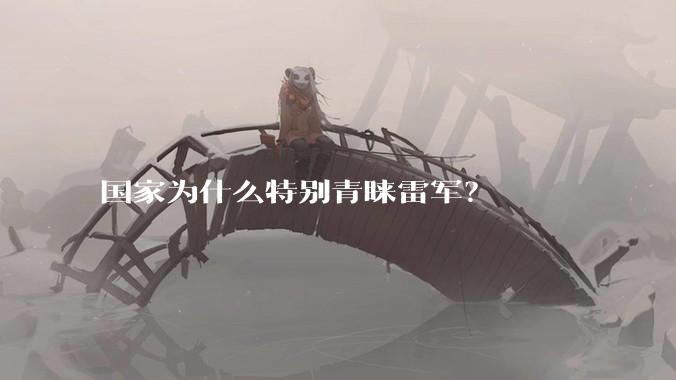 国家为什么特别青睐雷军？