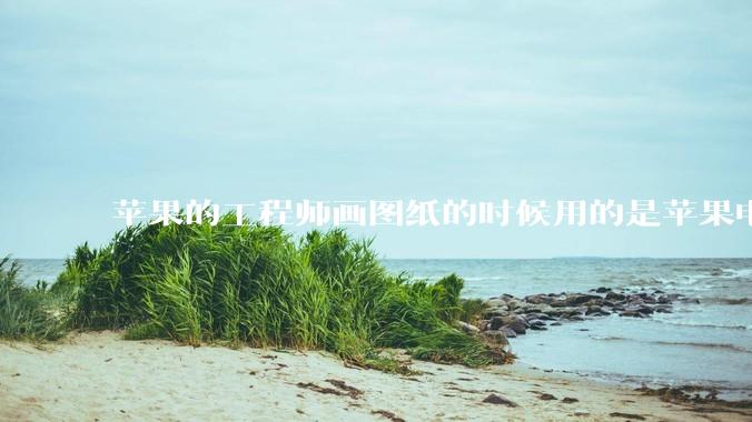 苹果的工程师画图纸的时候用的是苹果电脑还是Windows电脑？