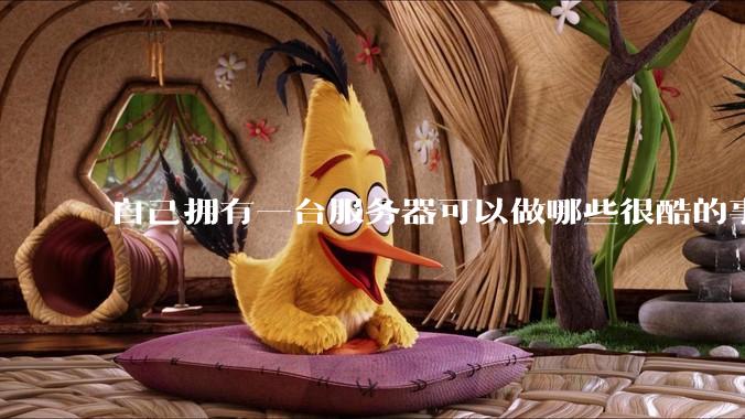 自己拥有一台服务器可以做哪些很酷的事情？