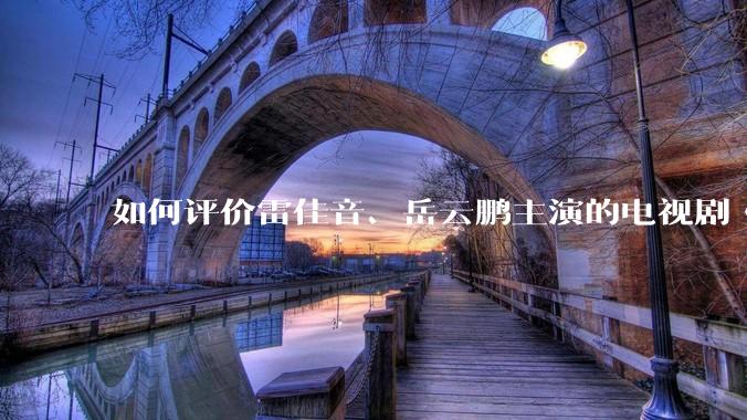 如何评价雷佳音、岳云鹏主演的电视剧《长安的荔枝》?
